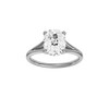 A front view of the Elongated Cushion cut diamond engagement ring in platinum with a plain band and hidden halo setting