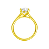 A profile view of the Elongated Cushion cut diamond engagement ring in 14k yellow gold with a plain band and hidden halo setting