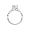 A profile view of the Round cut diamond engagement ring in 14k white gold with a plain band and hidden halo setting