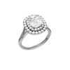 A three-quarter view of the Elongated Cushion cut diamond engagement ring in 14k white gold with a plain band and double halo setting