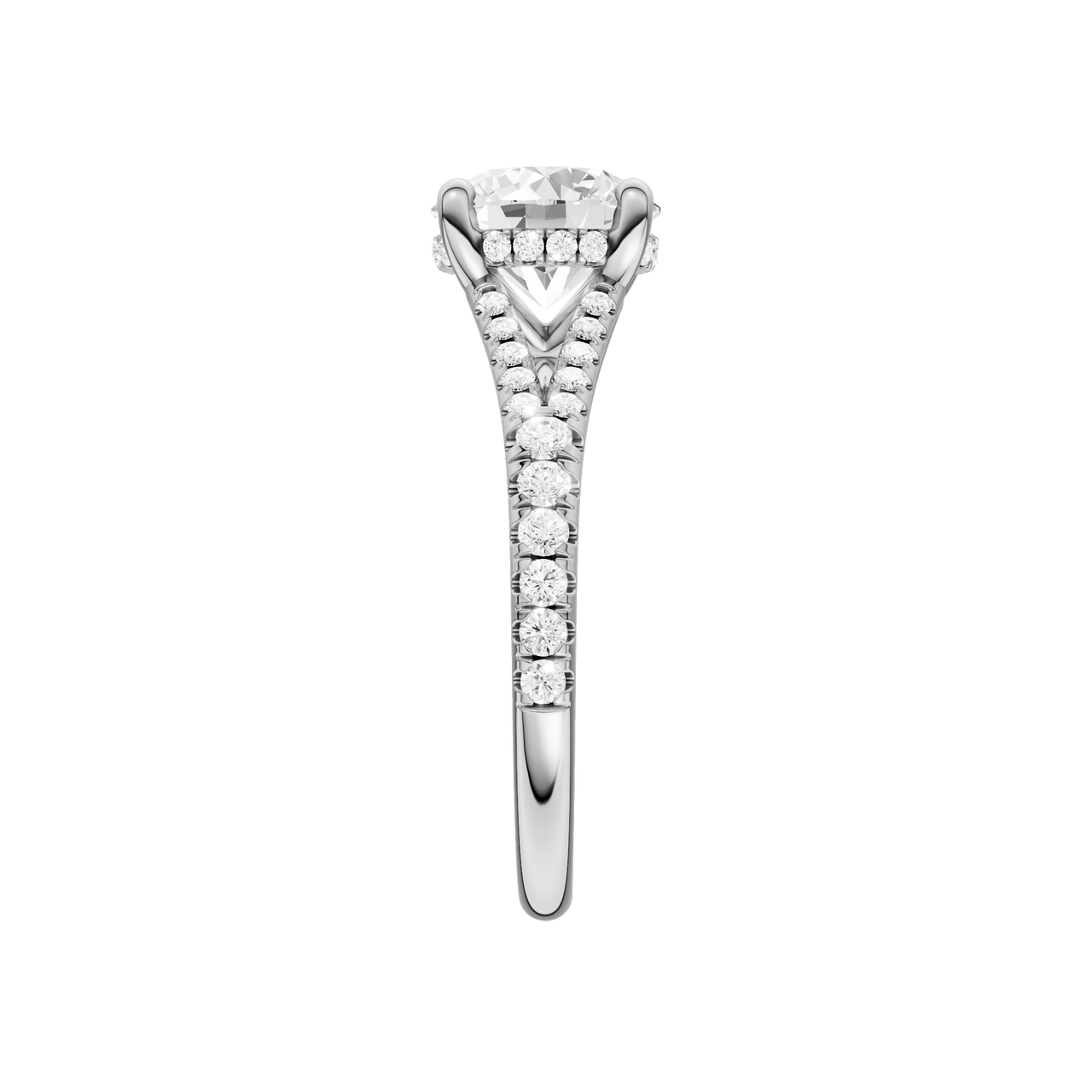A side view of the Round cut diamond engagement ring in 14k white gold with a prong band and hidden halo setting