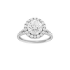 A front view of the Round cut diamond engagement ring in 14k white gold with a prong diamond band and split setting