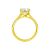 A profile view of the Elongated Cushion cut diamond engagement ring in 14k yellow gold  with a channel band and hidden halo setting