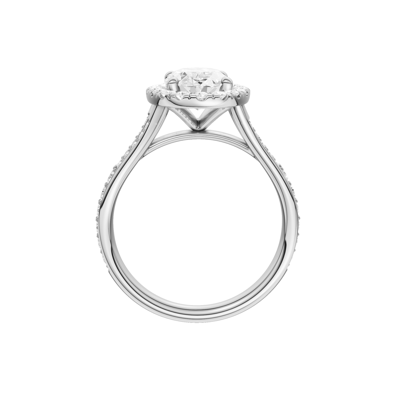 A profile view of the Round cut diamond engagement ring in 14k white gold with a plain band and solitaire setting