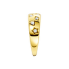 That side view is your "Proof of Value" shot. In a world of hollow, paper-thin gold rings sold online, showing the "wall" of metal is what justifies the price and moves the ring from the cart to the doorstep.

Use this specific, high-detail Alt-Text for that image to capture the "Solid Gold" organic traffic:

Image Alt-Text (The "Heft" Shot)
Side profile view of the Solid 14K Gold Star Studded Dome Ring, showcasing the substantial 3.45g weighted thickness and high-polish pillowed silhouette. Hand-set with E